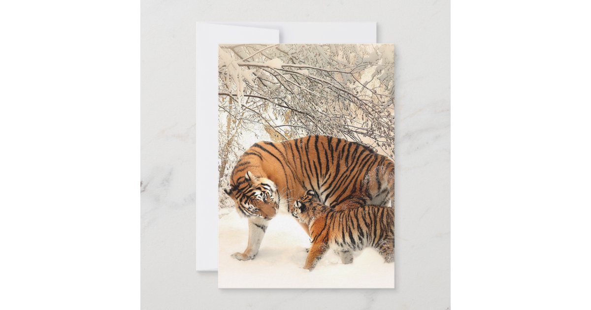 Cute Mother Tiger with Baby in Snow Thank You Card | Zazzle