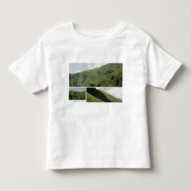 cute mountain image toddler t-shirt (Front)
