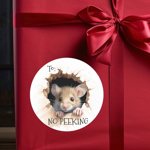 Cute Mouse gift No Peeking  Classic Round Sticker