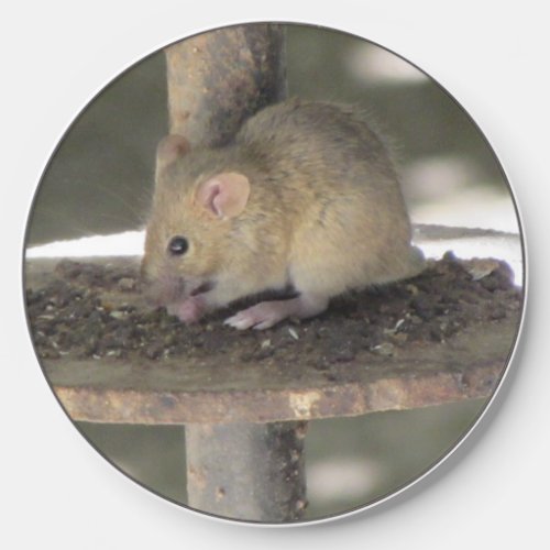 Cute Mouse Sneaking a Meal Wireless Charger