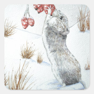 cute mouse snow scene seasonal wildlife square sticker