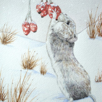 Cute Mouse Winter Wildlife Snow Scene Usb Flash Drive by artoriginals at Zazzle