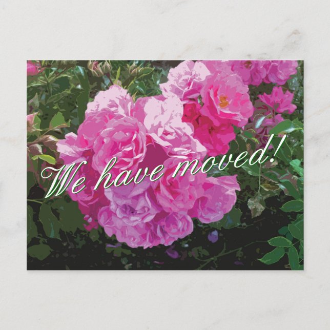 Cute moving postcards with pink rose flowers (Front)