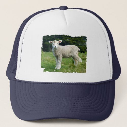 Cute Muddy Baby Sheep Lamb in a Meadow Trucker Hat