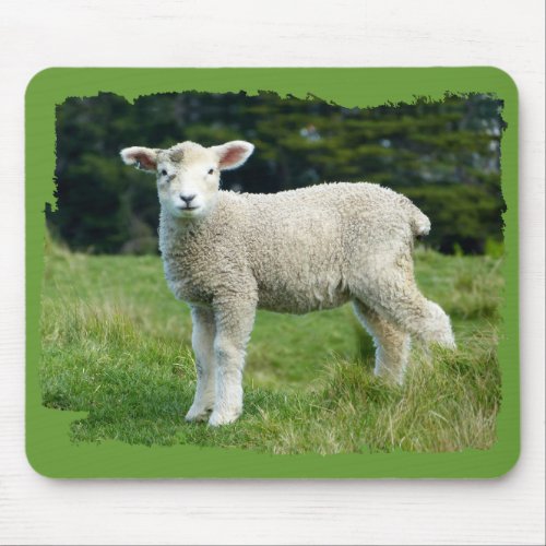 Cute Muddy Lamb Baby Sheep in Meadow Mouse Pad