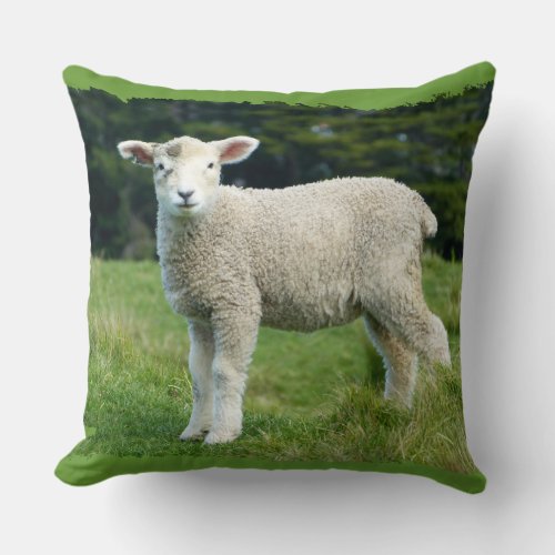 Cute Muddy Lamb in Green Meadow Throw Pillow