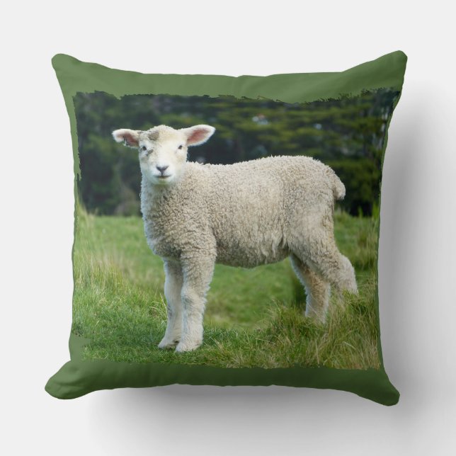 Cute Muddy Lamb in Meadow Ragged Edge Design Throw Pillow (Front)