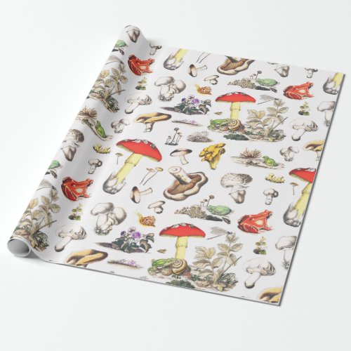 Cute Mushroom Frog Snail Forest Pattern Wrapping Paper