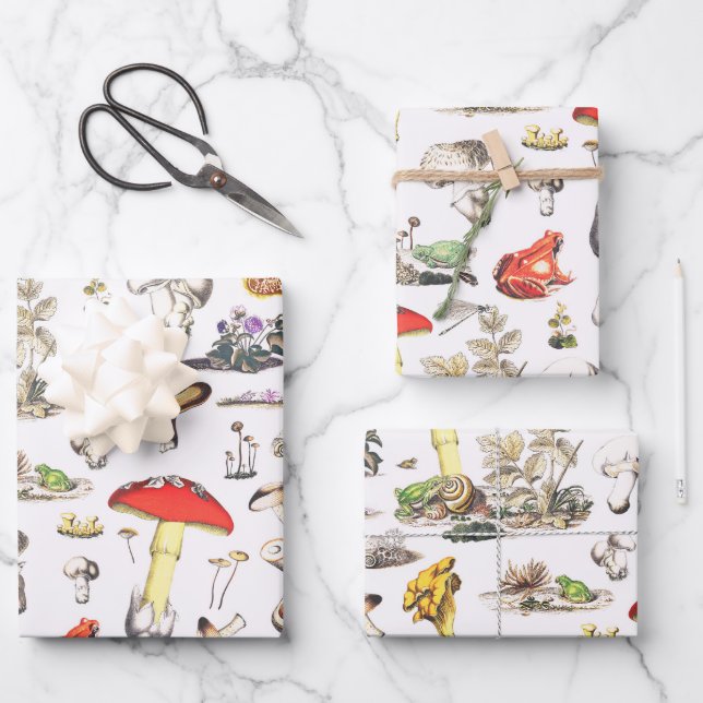 Cute Mushroom Frog Snail Forest Pattern Wrapping Paper Sheets (Front)