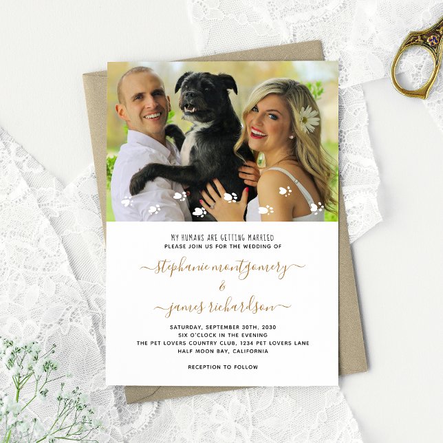 Cute My Humans Getting Married Pet Photo Wedding Invitation (Creator Uploaded)