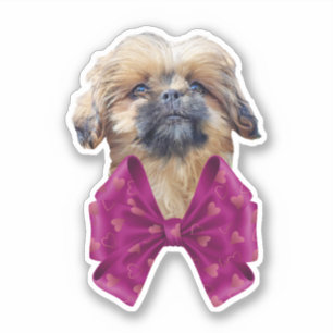 Cute Nala Shih Tzu Puppy Dog  Sticker