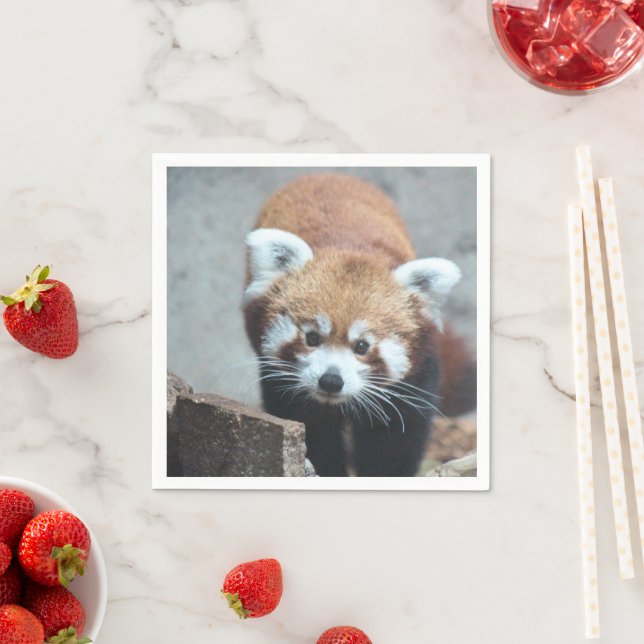 Cute Napkins (Insitu)