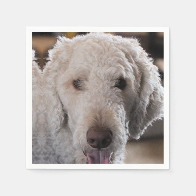 Cute     napkins (Front)