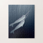 Cute Narwhals Swimming Together Underwater Jigsaw Puzzle at Zazzle