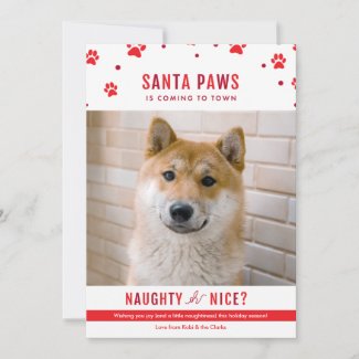 Cute Naughty or Nice Dog Christmas Photo Holiday Card