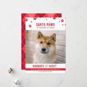 Cute Naughty or Nice Dog Christmas Photo Holiday Card