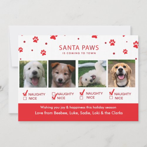 Cute Naughty or Nice Four Dog Christmas Photo Holiday Card
