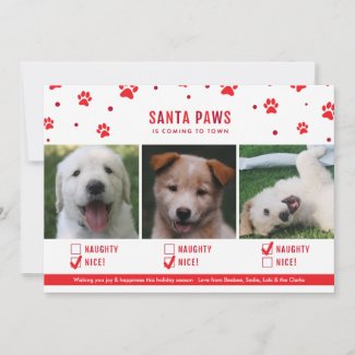 Cute Naughty or Nice Three Dog Christmas Photo Holiday Card