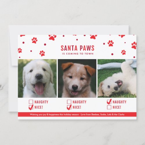 Cute Naughty or Nice Three Dog Christmas Photo Holiday Card