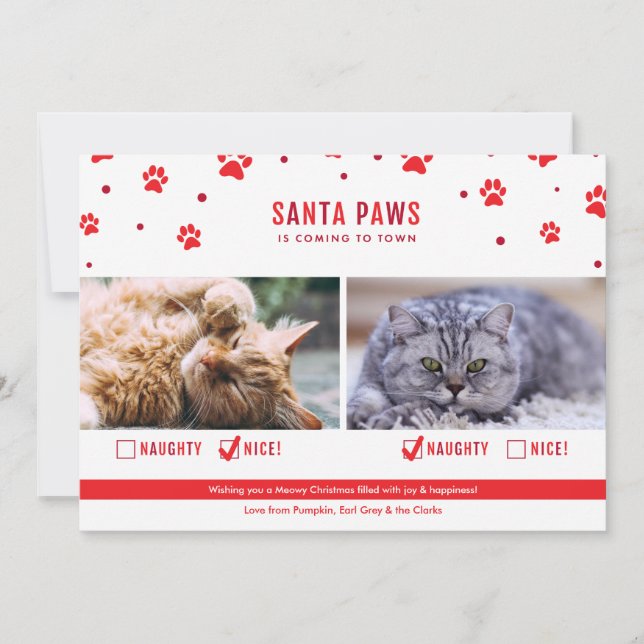 Cute Naughty or Nice Two Cat Christmas Photo Holiday Card (Front)