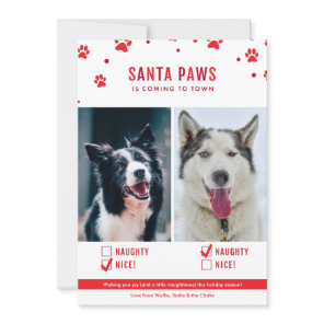 Cute Naughty or Nice Two Dog Christmas Photo Holiday Card