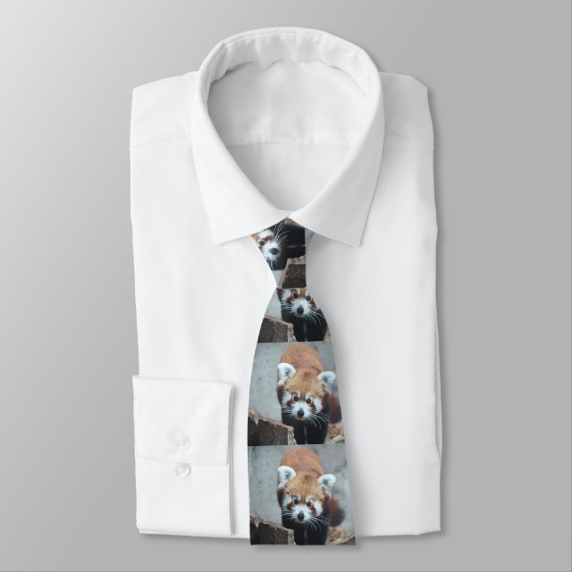 Cute Neck Tie (Tied)