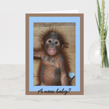 Cute New Baby Monkey Business Card by Rebecca_Reeder at Zazzle