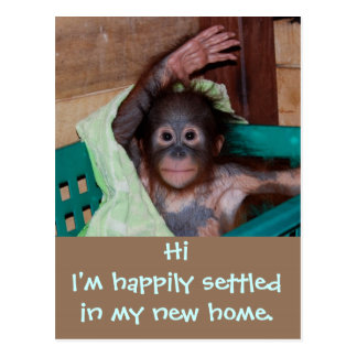 Cute New Home Change of Address Postcard