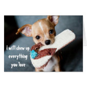 Cute New Puppy Chihuahua Chewing Funny Humor (Front Horizontal)