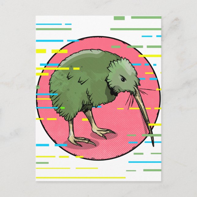 Cute New Zealand Kiwi Postcard (Front)
