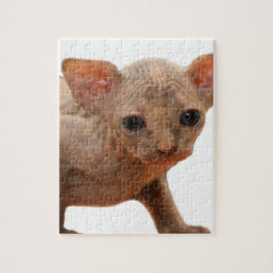 Cute newborn sphynx kitten jigsaw puzzle