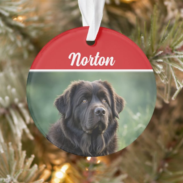 Cute Newfoundland Dog Holiday Christmas Photo Ornament (Tree)