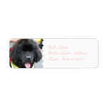Cute Newfoundland Mailing Labels