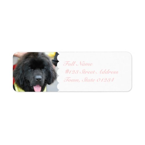 Cute Newfoundland Mailing Labels