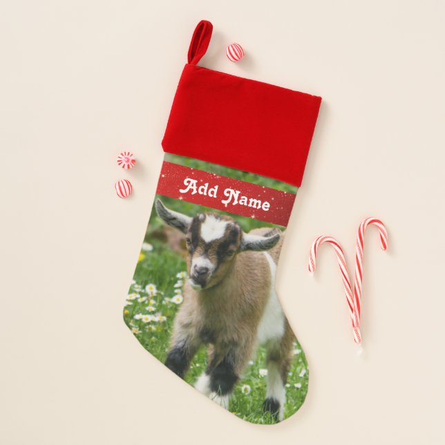 Cute Nigerian Dwarf Dairy Goat Kid Christmas Stocking (Front)