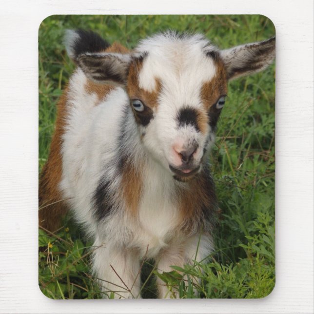 Cute Nigerian Dwarf Dairy Goat Kid Mouse Pad (Front)