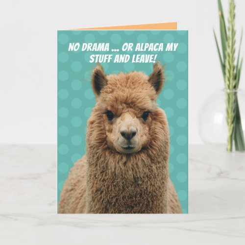 Cute No Drama Llama Or Alpaca My Stuff Birthday Card