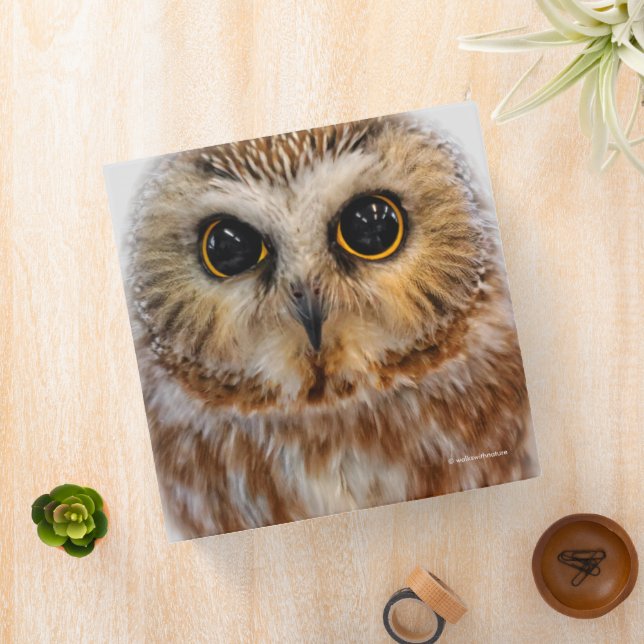 Cute Northern Saw Whet Owl 3 Ring Binder (In Situ)