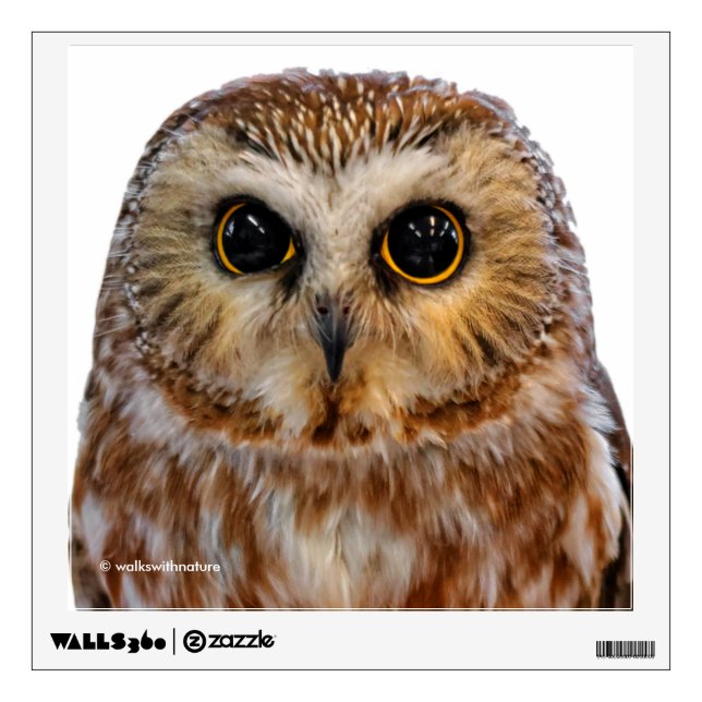 Cute Northern Saw Whet Owl Wall Sticker (Front)