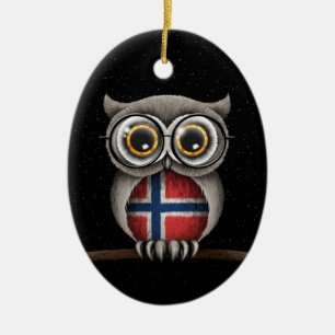 Cute Norwegian Flag Owl Wearing Glasses Ceramic Ornament