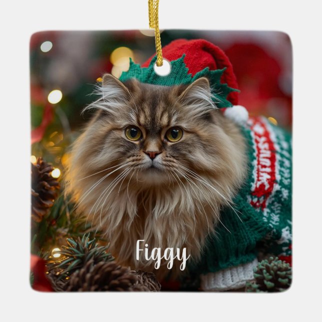 Cute Norwegian Forest Cat Christmas Personalized  Ceramic Ornament (Front)