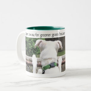 Cute Nosey White Dog Looking at Other Yard's Grass Two-Tone Coffee Mug