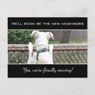 Cute Nosey White Puppy Dog Spying On Neighbors Ann Announcement Postcard