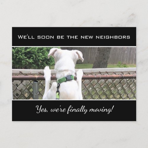 Cute Nosey White Puppy Dog Spying On Neighbors Ann Announcement Postcard