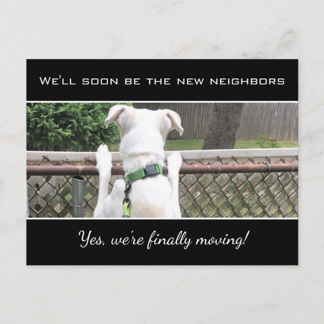 Cute Nosey White Puppy Dog Spying On Neighbors Ann Announcement Postcard (Front)