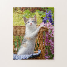 Cute Nosy Baby Cat Kitten in a Flowering Garden