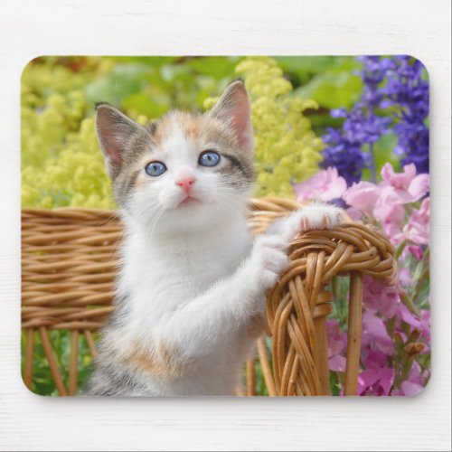 Cute Nosy Baby Cat Kitten in a Flowering Garden Mouse Pad