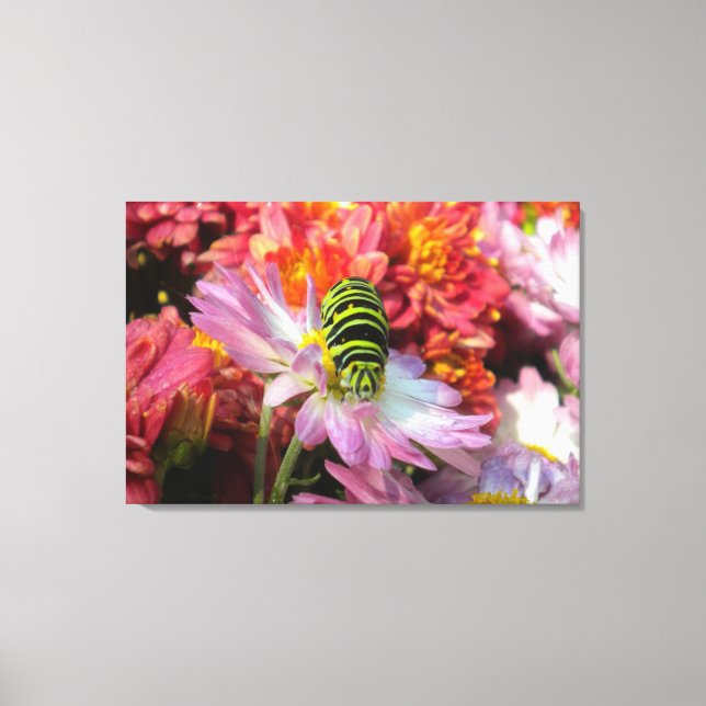 Cute Nosy Caterpillar N Mums Wrapped Canvas Print (Front)