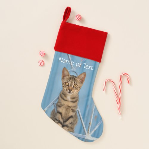 Cute Nosy Tabby Cat Kitten Sitting in a Blue Fence Christmas Stocking