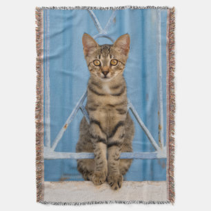 Cute Nosy Tabby Cat Kitten Sitting in a Blue Fence Throw Blanket
